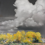 Sen Udall environment